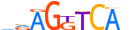 NR1I3.H13INVIVO.1.PSM.A motif logo (NR1I3 gene, NR1I3_HUMAN protein)