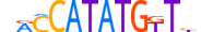 OLIG3.H13INVIVO.0.SM.D motif logo (OLIG3 gene, OLIG3_HUMAN protein)