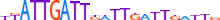 ONEC2.H13INVIVO.3.P.B motif logo (ONECUT2 gene, ONEC2_HUMAN protein)