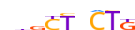 OSR2.H13INVIVO.0.PSM.A motif logo (OSR2 gene, OSR2_HUMAN protein)