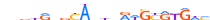 PAX8.H13INVIVO.0.PSM.A motif logo (PAX8 gene, PAX8_HUMAN protein)