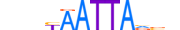 PHX2A.H13INVIVO.1.SM.B motif logo (PHOX2A gene, PHX2A_HUMAN protein)