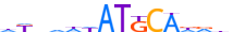 PO3F1.H13INVIVO.0.P.B motif logo (POU3F1 gene, PO3F1_HUMAN protein)