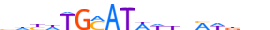 PO3F3.H13INVIVO.1.P.C motif logo (POU3F3 gene, PO3F3_HUMAN protein)