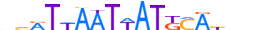 PO4F1.H13INVIVO.1.SM.D motif logo (POU4F1 gene, PO4F1_HUMAN protein)