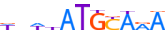 PO5F1.H13INVIVO.1.P.B motif logo (POU5F1 gene, PO5F1_HUMAN protein)