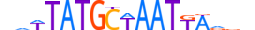 PO5F1.H13INVIVO.2.SM.B motif logo (POU5F1 gene, PO5F1_HUMAN protein)