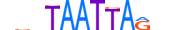 PO6F2.H13INVIVO.0.S.D motif logo (POU6F2 gene, PO6F2_HUMAN protein)