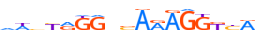 PPARG.H13INVIVO.0.P.B motif logo (PPARG gene, PPARG_HUMAN protein)