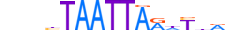 PRRX2.H13INVIVO.1.S.D motif logo (PRRX2 gene, PRRX2_HUMAN protein)