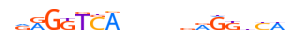 RARA.H13INVIVO.1.P.B motif logo (RARA gene, RARA_HUMAN protein)