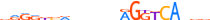 RXRA.H13INVIVO.3.P.B motif logo (RXRA gene, RXRA_HUMAN protein)