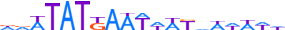 SALL3.H13INVIVO.0.PSG.A motif logo (SALL3 gene, SALL3_HUMAN protein)