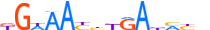 SIX2.H13INVIVO.0.P.B motif logo (SIX2 gene, SIX2_HUMAN protein)