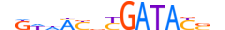 SIX2.H13INVIVO.1.M.C motif logo (SIX2 gene, SIX2_HUMAN protein)