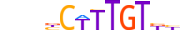 SOX10.H13INVIVO.1.PSM.A motif logo (SOX10 gene, SOX10_HUMAN protein)