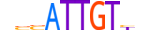 SOX30.H13INVIVO.1.SM.B motif logo (SOX30 gene, SOX30_HUMAN protein)