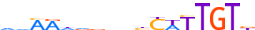 SOX8.H13INVIVO.0.PSM.A motif logo (SOX8 gene, SOX8_HUMAN protein)