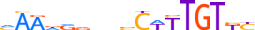 SOX9.H13INVIVO.0.PS.A motif logo (SOX9 gene, SOX9_HUMAN protein)