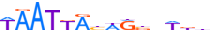 SP9.H13INVIVO.0.P.B motif logo (SP9 gene, SP9_HUMAN protein)