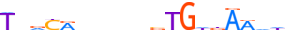 TBX19.H13INVIVO.0.PS.A motif logo (TBX19 gene, TBX19_HUMAN protein)