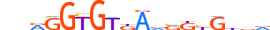 TBX20.H13INVIVO.2.SM.B motif logo (TBX20 gene, TBX20_HUMAN protein)