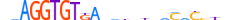 TBX4.H13INVIVO.1.S.B motif logo (TBX4 gene, TBX4_HUMAN protein)