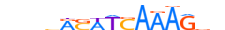 TCF7.H13INVIVO.0.PSM.A motif logo (TCF7 gene, TCF7_HUMAN protein)