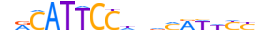 TEAD3.H13INVIVO.1.S.B motif logo (TEAD3 gene, TEAD3_HUMAN protein)