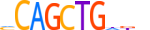 TFAP4.H13INVIVO.0.PSM.A motif logo (TFAP4 gene, TFAP4_HUMAN protein)