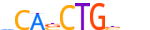 TFE2.H13INVIVO.0.PS.A motif logo (TCF3 gene, TFE2_HUMAN protein)