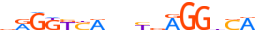 THB.H13INVIVO.0.P.B motif logo (THRB gene, THB_HUMAN protein)