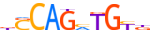 ZBT18.H13INVIVO.0.PSM.A motif logo (ZBTB18 gene, ZBT18_HUMAN protein)