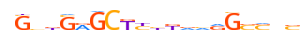 ZBTB41.H13INVIVO.0.PSG.A motif logo (ZBTB41 gene, ZBT41_HUMAN protein)