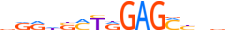 ZBTB6.H13INVIVO.0.P.B motif logo (ZBTB6 gene, ZBTB6_HUMAN protein)