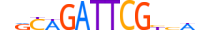 ZFAT.H13INVIVO.0.PSGI.A motif logo (ZFAT gene, ZFAT_HUMAN protein)