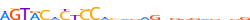 ZNF20.H13INVIVO.0.PSG.A motif logo (ZNF20 gene, ZNF20_HUMAN protein)