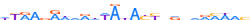 ZNF234.H13INVIVO.0.PSG.A motif logo (ZNF234 gene, ZN234_HUMAN protein)