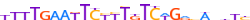 ZNF471.H13INVIVO.0.PSG.A motif logo (ZNF471 gene, ZN471_HUMAN protein)