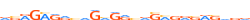 ZNF48.H13INVIVO.0.PSG.A motif logo (ZNF48 gene, ZNF48_HUMAN protein)