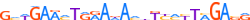 ZNF665.H13INVIVO.0.PSG.A motif logo (ZNF665 gene, ZN665_HUMAN protein)