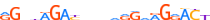 ZSCAN2.H13INVIVO.0.PG.A motif logo (ZSCAN2 gene, ZSCA2_HUMAN protein)