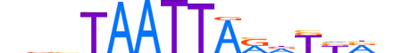 ALX3.H13RSNP.0.SM.B motif logo (ALX3 gene, ALX3_HUMAN protein)