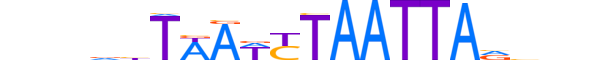 ALX3.H13RSNP.1.S.B reverse-complement motif logo (ALX3 gene, ALX3_HUMAN protein)