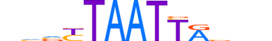 ALX4.H13RSNP.1.SM.D motif logo (ALX4 gene, ALX4_HUMAN protein)