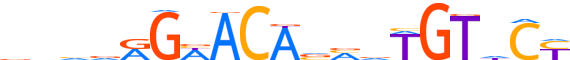 ANDR.H13RSNP.0.P.B reverse-complement motif logo (AR gene, ANDR_HUMAN protein)