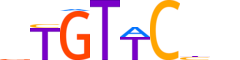 ANDR.H13RSNP.1.S.C motif logo (AR gene, ANDR_HUMAN protein)