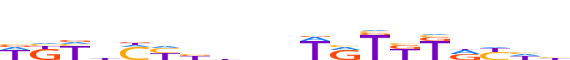 ANDR.H13RSNP.2.P.B motif logo (AR gene, ANDR_HUMAN protein)