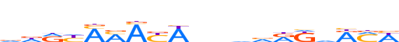 ANDR.H13RSNP.2.P.B reverse-complement motif logo (AR gene, ANDR_HUMAN protein)