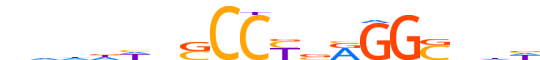 AP2B.H13RSNP.0.SM.D reverse-complement motif logo (TFAP2B gene, AP2B_HUMAN protein)